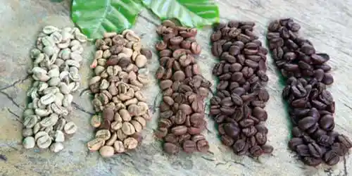 Coffee Bean Roasting Levels