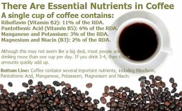 Coffee Contains Essential Nutrients
