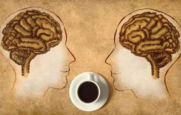 Drinking Coffee May Protect Brain Health