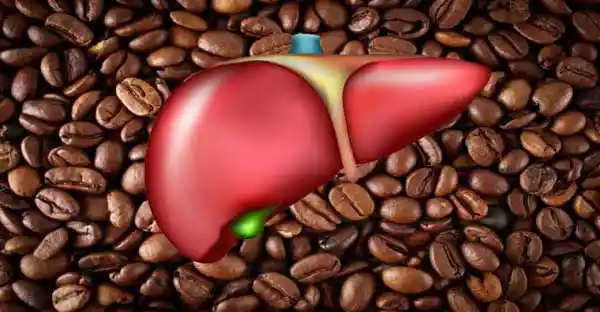 Drinking Coffee May Protect Your Liver