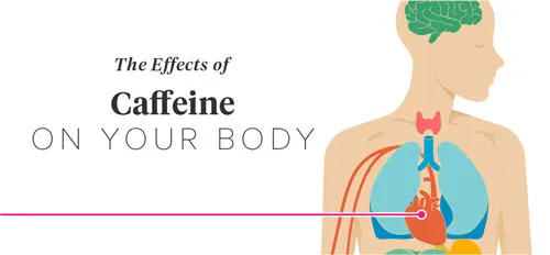 The Effects Of Caffeine On Your Body