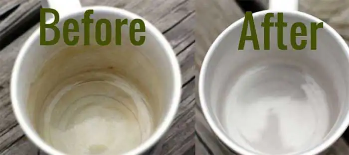 Remove coffee stains from cups