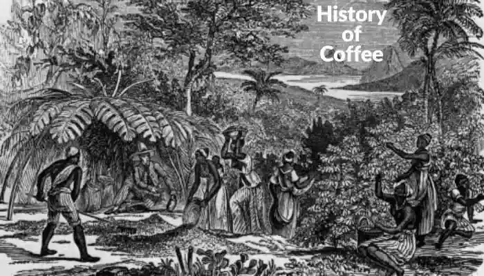 The Coffee History With Stories