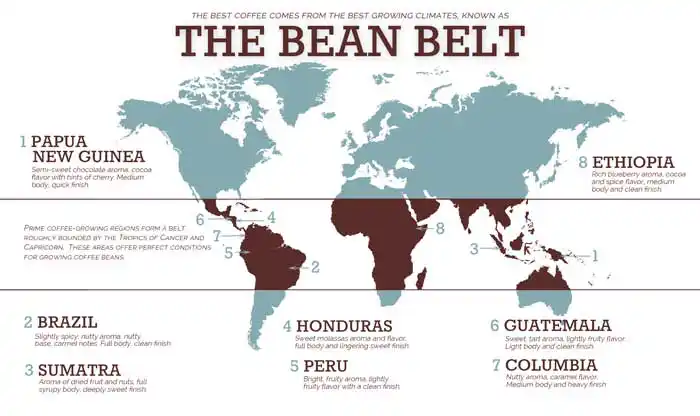 The Coffee Bean Belt